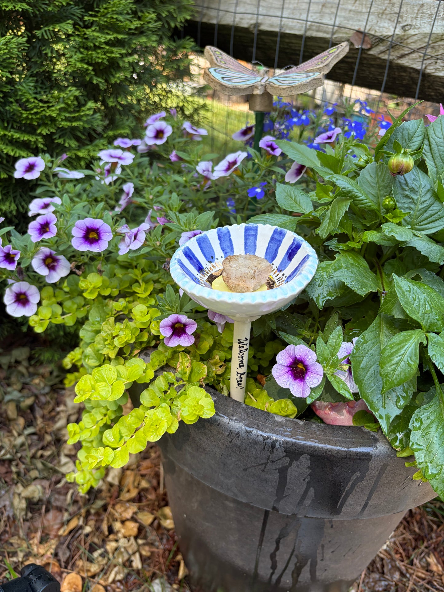 Bee and Pollinator Cups